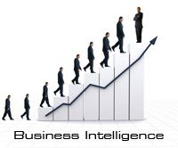Vijfhart Business Intelligence training