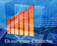 Vijfhart Business Objects training