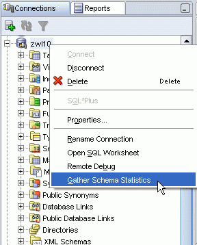 SQL Developer Statistieken