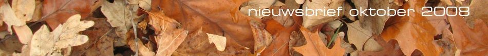 Vijfhart nieuwsbrief september 2008 Business Intelligence & Data warehousing