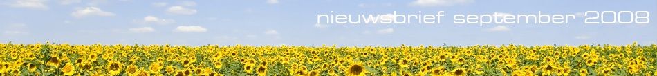 Vijfhart nieuwsbrief september 2008 Business Intelligence & Data warehousing