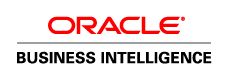 Oracle BI server