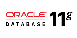 Oracle 11g release 2