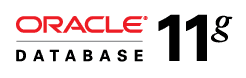 Oracle Database 11g