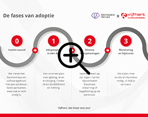 Adoptie Infographic